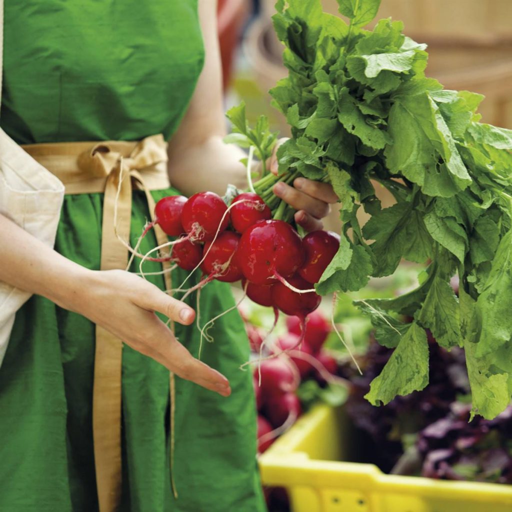 5 recipes with probiotic delicatessen