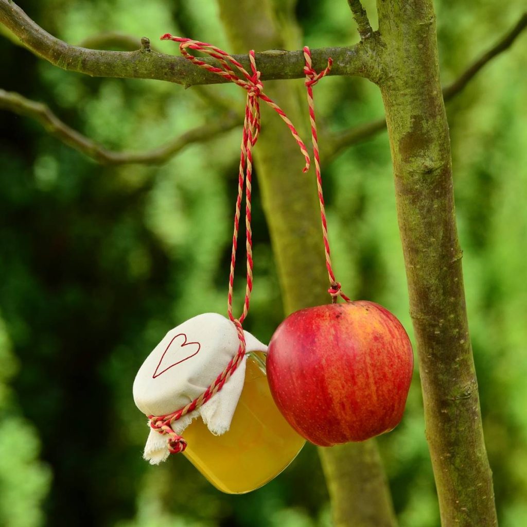 Make your own sugar-free applesauce