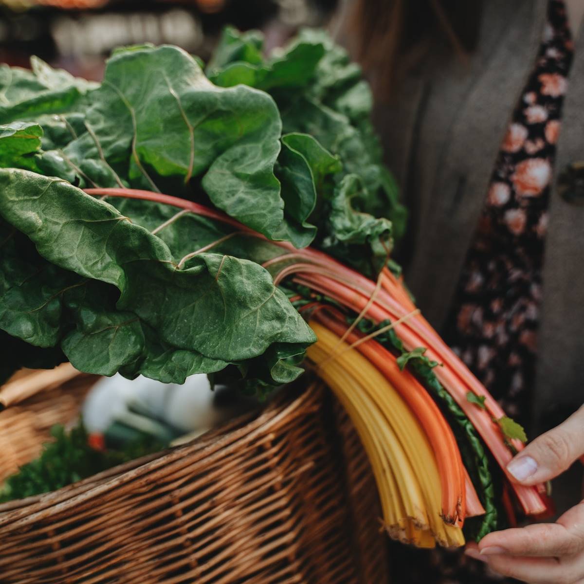 The best basic recipes with Swiss chard The best basic recipes with Swiss chard