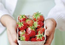 5 Colorful Recipes to Nourish Your Joy 5 Colorful Recipes to Nourish Your Joy