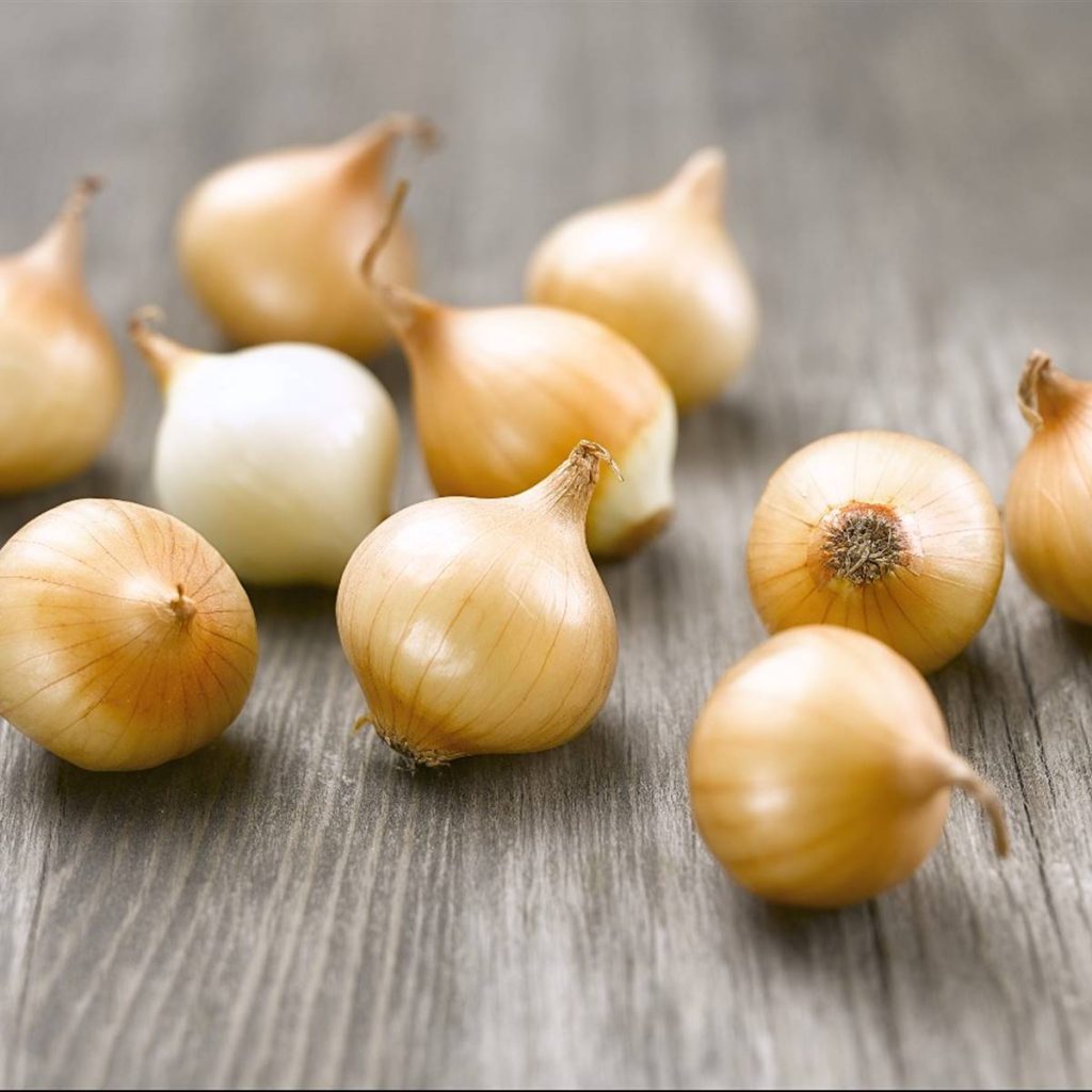 7 types of onions discover their characteristics and how to prepare them