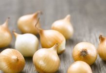 7 types of onions: discover their characteristics and how to prepare them 7 types of onions discover their characteristics and how to prepare them