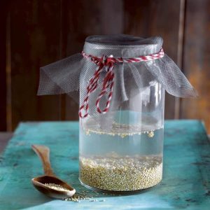 Quinoa Rejuvelac Prepare It in 3 Steps