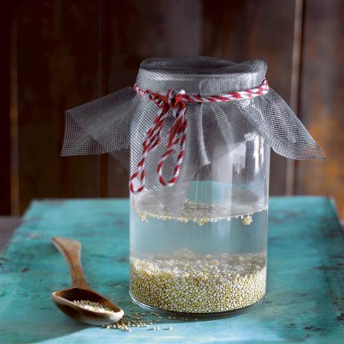 Quinoa Rejuvelac Prepare It in 3 Steps HygienicRecipe