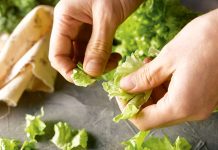 Types of Cutting in the Kitchen: Bring Your Vegetables to Life Types of Cutting in the Kitchen Bring Your Vegetables to Life